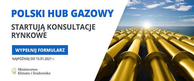 Polska regionalnym hubem gazowym? Ruszają konsultacje rynkowe
